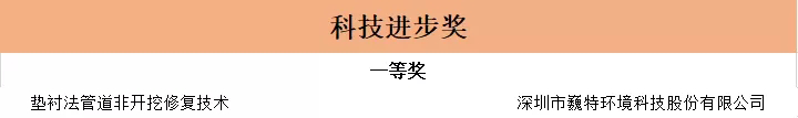 重磅！巍特環(huán)境獲2021年廣東省非開挖技術(shù)協(xié)會(huì)科學(xué)技術(shù)獎(jiǎng)一等獎(jiǎng)